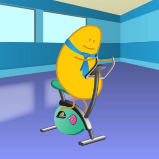 Vector illustrations for animation - Evercise